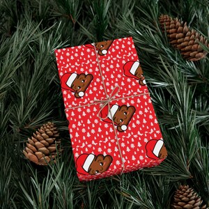 クリスマスうんちはクリスマスラッピングペーパーのような匂いがする、面白いうんちのクリスマスギフトラッピング、クリスマスラッピングペーパー