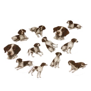 Pointer Dog Toppers (10pc) Topper Set-Pre-Cut Edible Wafer Paper Designs, Hunting Dog & Pet Party Decorations