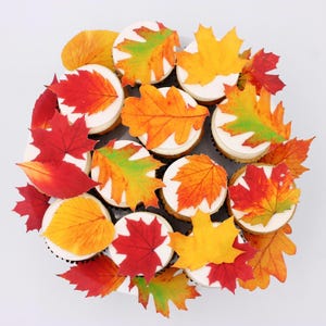 May include: A dozen cupcakes with white frosting, each topped with a colorful, edible autumn leaf. The leaves are in shades of red, orange, yellow, and green, creating a festive fall theme. Perfect for a seasonal celebration.