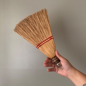 Vintage Moglin Co Perma Broom Whisk off Plastic Pink Bristle Purse Size  Whisk Broom, C 1950s 