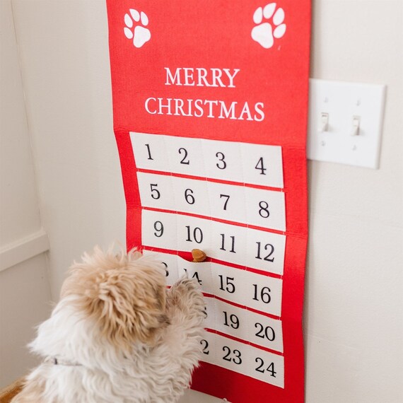 Pet Advent Calendars Etsy