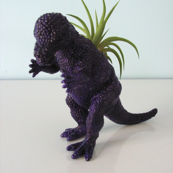 Upcycled Dinosaur Planter - Dark Purple Pachycephalosaurus with Tillandsia Air Plant