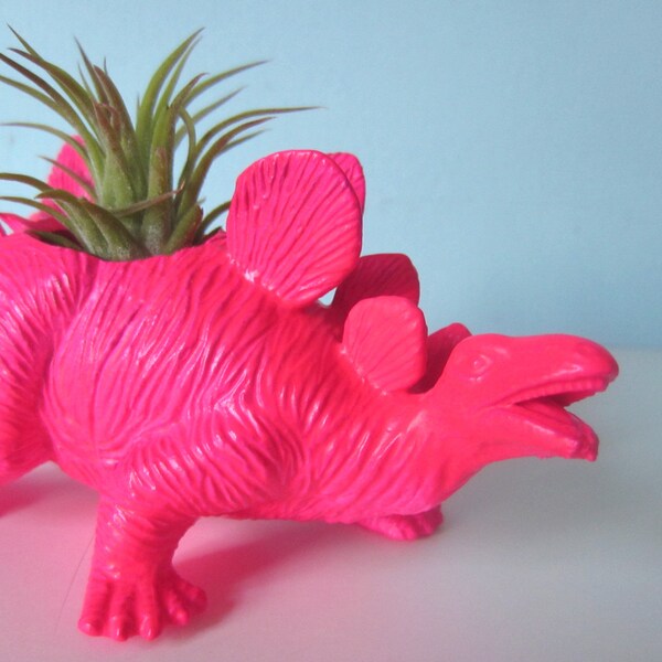 Upcycled Dinosaur Planter - Neon Pink Stegosaurus with Air Plant