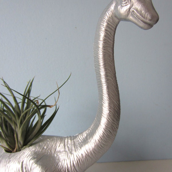 Upcycled Dinosaur Planter - Extra Large Silver Brontosaurus with Air Plant