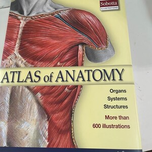Atlas of Anatomy 2020 4th Edition Ebook Pdf - Etsy