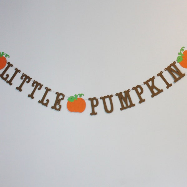 Little Pumpkin - Fall Themed Baby Banner - Baby Shower Decoration or Photo Prop