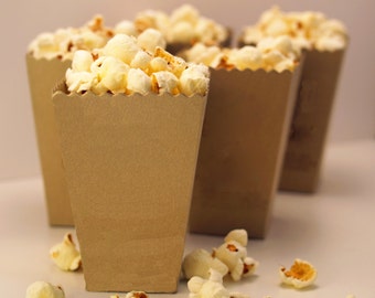 Mini Popcorn Favor Box - Wedding Popcorn Favor - Blank Metallic Paper - Wedding Snack Box - Popcorn Favor Bar - Dessert Bar