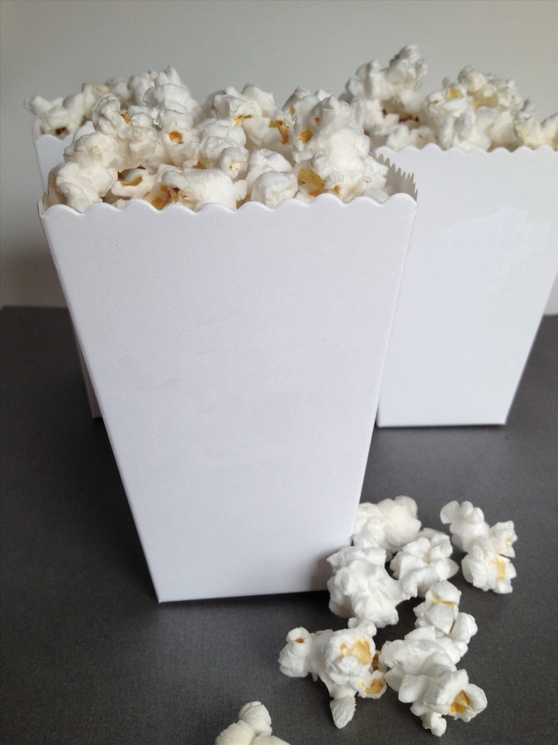 Popcorn Boxes Wedding Favor Popcorn Bags Mini Popcorn Etsy