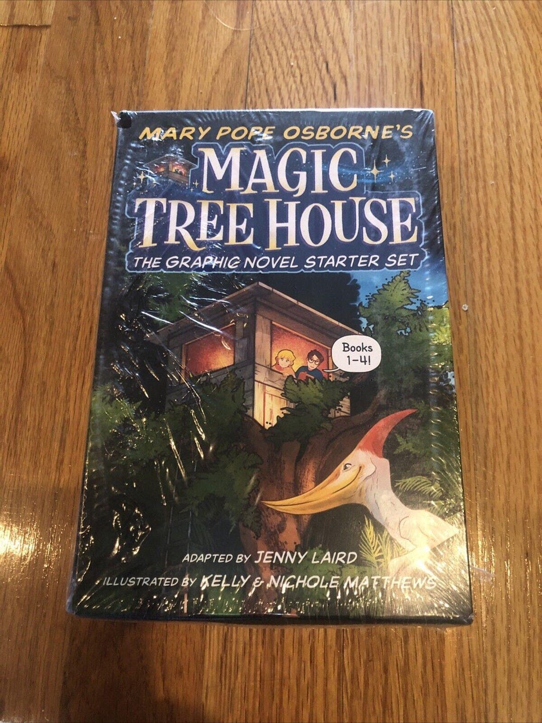 Magic Tree House Graphic Novel Starter Set (a Graphic Novel