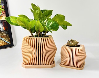 3D Printed Succulent Planter with Saucer: Modern Minimalist Decor