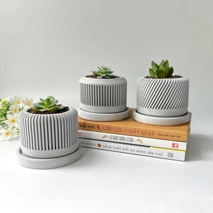 Set of 3 Concrete Planter, Minimalist Succulent Pots with Tray, Geometric Design, Desk Decor, Small Plant Pots