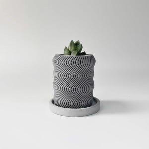 May include: A gray concrete planter with a wavy pattern and a small succulent plant inside. The planter has a matching saucer.