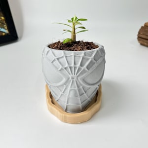 May include: A gray concrete planter shaped like Spider-Man's mask, holding a small green plant with soil. The planter sits on a light brown, organically shaped wooden tray. The background is white.