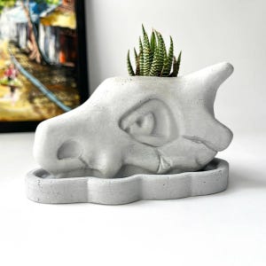 May include: A gray concrete planter shaped like a skull with a small succulent plant growing out of the top.