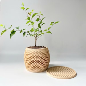 3D Printed Honeycomb Planter with Saucer – Modern Eco-Friendly Plant Pot, Indoor Minimalist Decor, Unique Gift for Plant Lovers