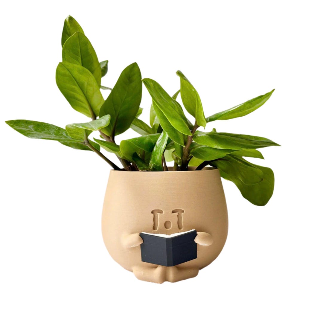3D Printed Crying Book Lover Planter: Gray PLA Plastic - Etsy
