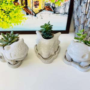 Set of 3 Mini Concrete Succulent Planters, Planters With Drainage and Trays, Bulba Planter, Cubone Planter