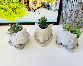 Set of 3 Mini Concrete Succulent Planters, Planters With Drainage and Trays, Bulba Planter, Cubone Planter