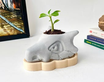 Cubone Concrete Planter, Concrete Succulent Pot, Planters With Drainage And Tray, House Plant Decor, 3D Printed Tray Included