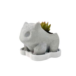 Bulba Concrete Succulent Planter With Tray| Office Decor| Home Decor|