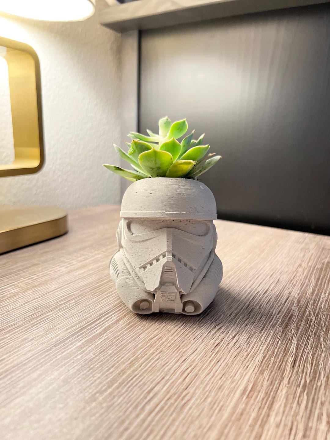 Stormtrooper Succulent Planters, Pen Holder, Bath Decor, Unique Gift