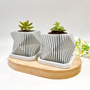 May include: Two geometric, white concrete planters with succulents sit on a light wood tray. The planters have a unique, textured design and are placed on matching white saucers. The succulents are green and add a natural element to the modern decor.