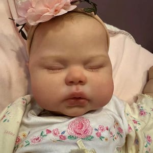 24&quot; Reborn Toddler Doll: Reborn Weighted Cloth Body, Painted Hair