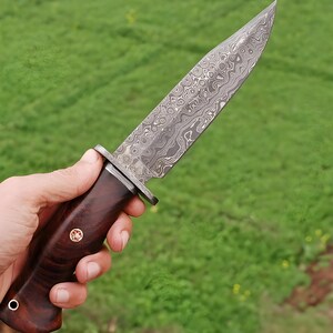 May include: A Damascus steel knife with a dark wood handle. The blade has a unique swirling pattern. The handle is a rich brown with a decorative pin. The knife is held against a green background.