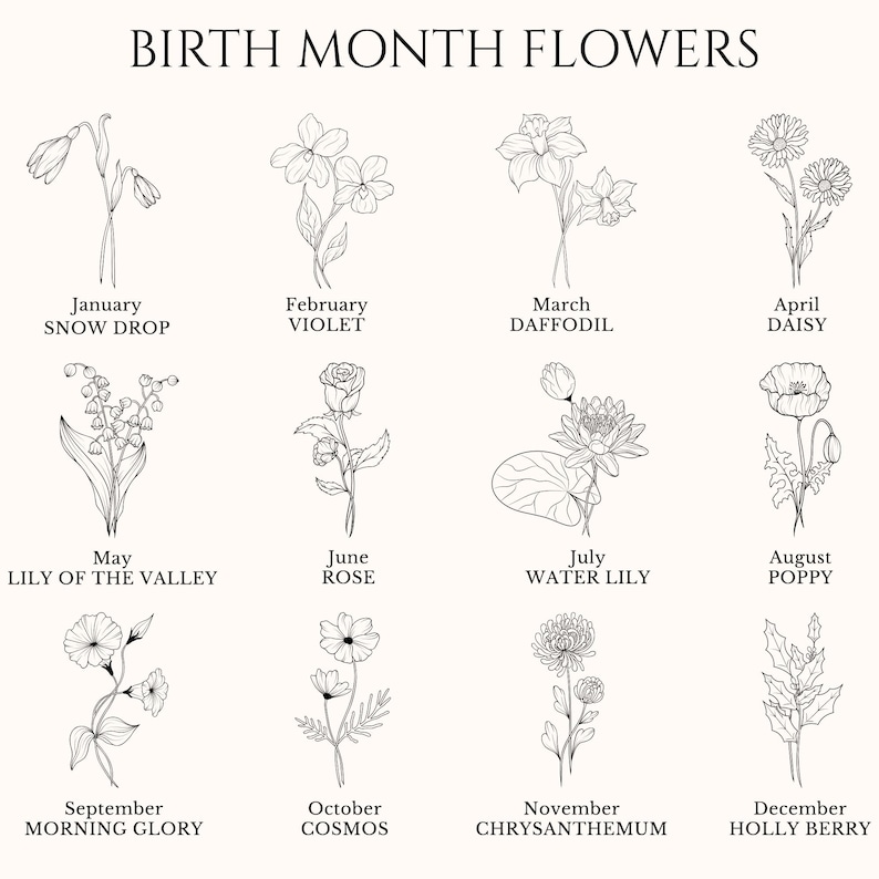 Op de afbeelding: Een zwart-wit illustratie van geboortebloem. Elke maand wordt vertegenwoordigd door een andere bloem, waaronder sneeuwklokje, viooltje, narcis, madeliefje, lelietje-van-dalen, roos, waterlelie, klaproos, winde, kosmos, chrysant en hulst.