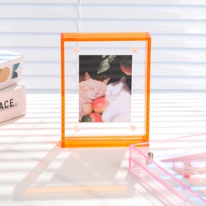 Pode incluir: Moldura de foto de acr&iacute;lico laranja com um centro transparente exibindo uma foto de dois gatos. A moldura tem formato retangular com cantos arredondados e pequenos fechos decorativos. A foto mostra dois gatos aninhados com ma&ccedil;&atilde;s.
