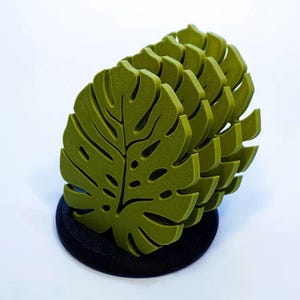 Monstera Coaster Leaf