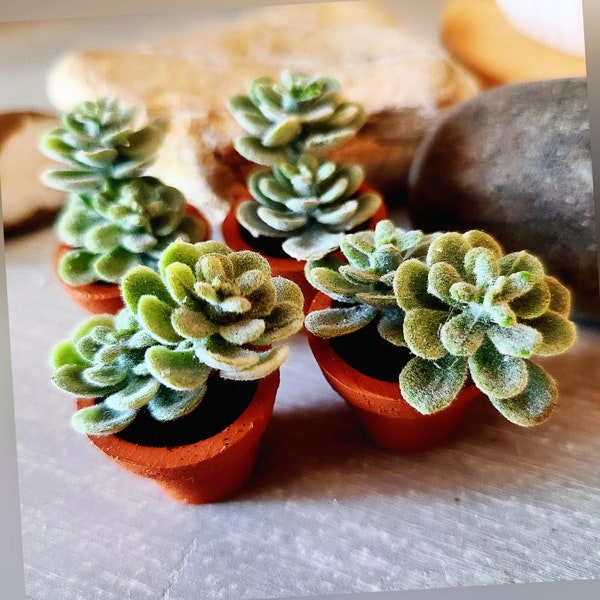 Miniature Plants, Mini Succulents, Mini Tiger Tail Plants, Dollhouse Plants, Fairyhouse Plants, 1/12 scale Plant Pots, Mini Potted Plants