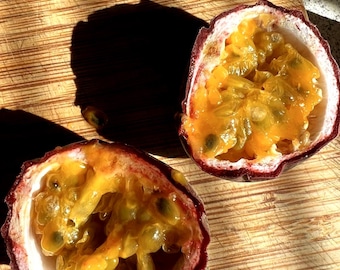 Passiflora edulis 'frederick'. Delicious passionfruit, 20 seeds.