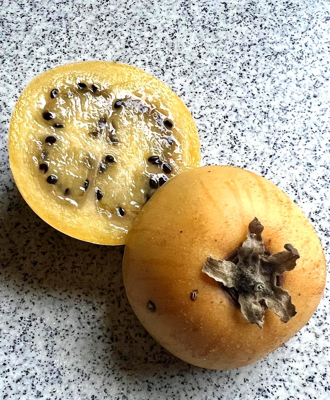 thumbnail image 2 of 35+ Seeds Salacca Zalacca Salak Snake Sweet Fruit Seeds Exotic, Seeds Rare 2 of 10