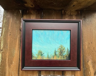 Trees on mountain in Vermont