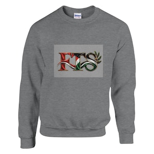 Op de afbeelding: Een grijs gemêleerd sweatshirt met ronde hals en een centrale afbeelding met de letters FTS. De letters hebben een glanzende afwerking en bevatten de kleuren van de Palestijnse vlag, waaronder rood, zwart, wit en groen, met een klein olijftakdetail.