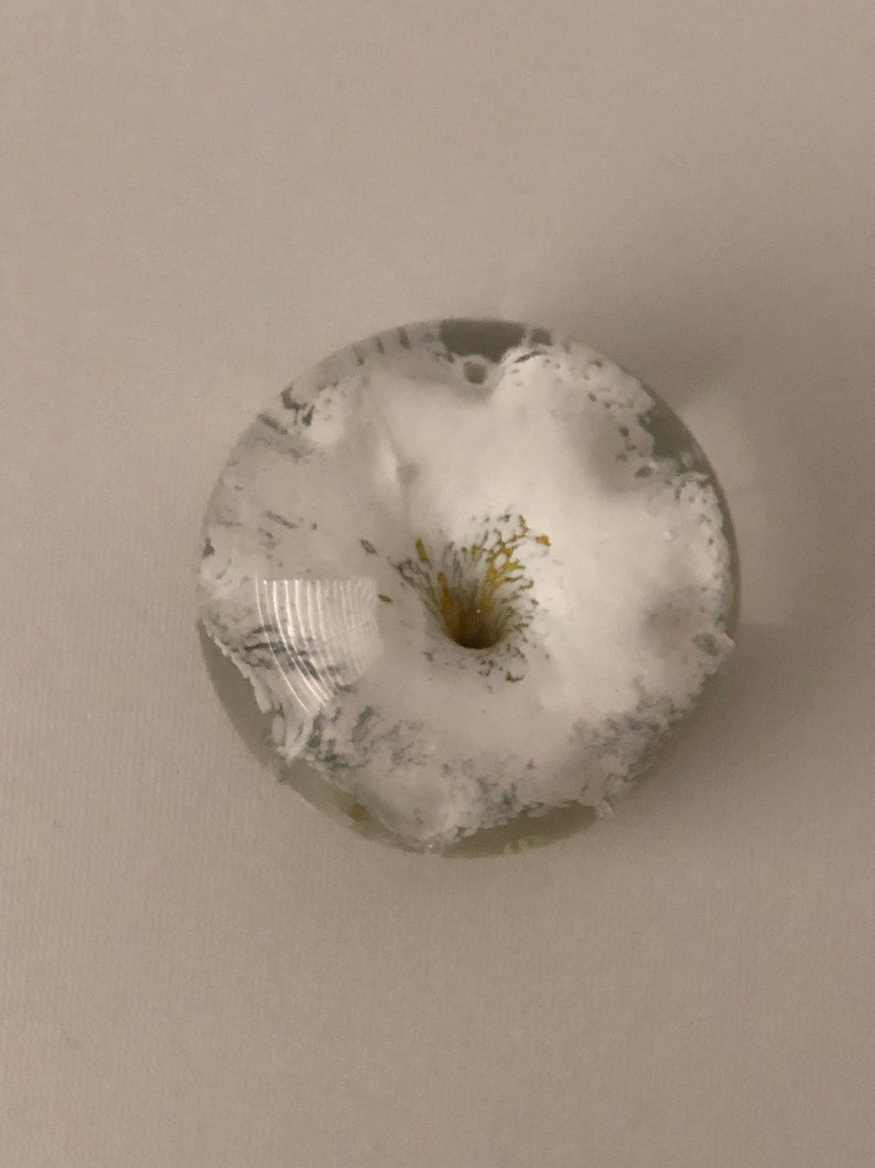 White flower with yellow stem inside clear glass paperweight