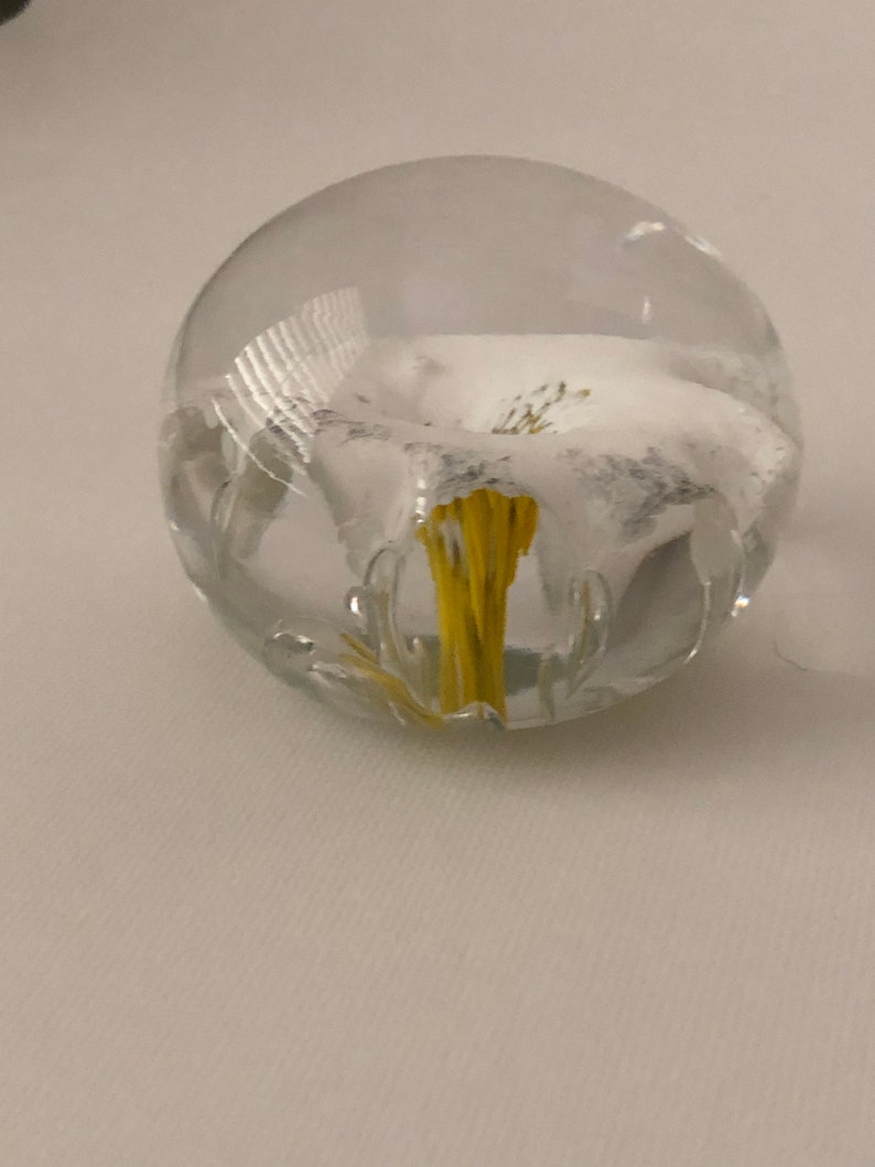 White flower with yellow stem inside clear glass paperweight