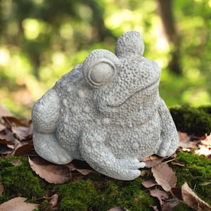 May include: A detailed, gray concrete frog statue with a textured surface. The frog is sitting on a bed of moss and fallen leaves, with a blurred green background. The statue has large, round eyes and a small, rounded head.