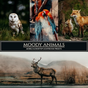 10 Moody Animals Lightroom Presets, Dark Filters for Mobile & Desktop (DNG, XMP)