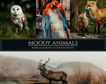 10 Moody Animals Lightroom Presets, Dark Filters for Mobile & Desktop (DNG, XMP)