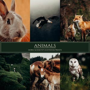 10 種類の動物 Lightroom モバイル & デスクトップ プリセット | ペット プリセット | ダーク プリセット | 犬 猫 プリセット | 野生動物 プリセット | Instagram プリセット