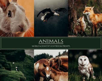 Animals Lightroom Presets – 10 Warm and Bright Filters for Mobile and Desktop