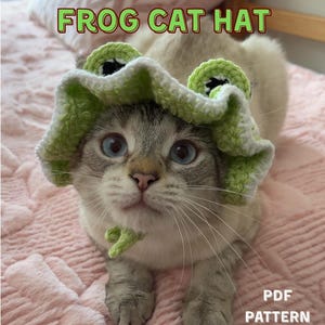 Puede incluir: Un gato con ojos azules lleva un sombrero de rana tejido en verde y blanco. El texto "FROG CAT HAT" y "PDF PATTERN" están presentes. El gato está sobre una superficie rosa. El sombrero es un accesorio caprichoso.