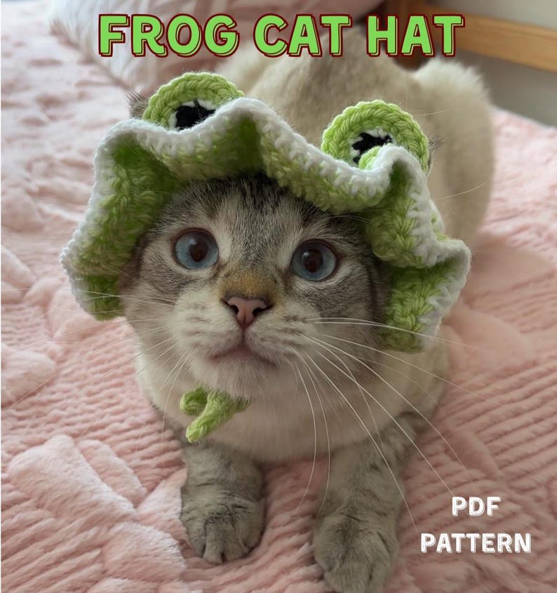 May include: A cat with blue eyes wearing a green and white crocheted frog hat. The image includes the text "FROG CAT HAT" and "PDF PATTERN". The cat is on a pink surface. The hat is a whimsical accessory.