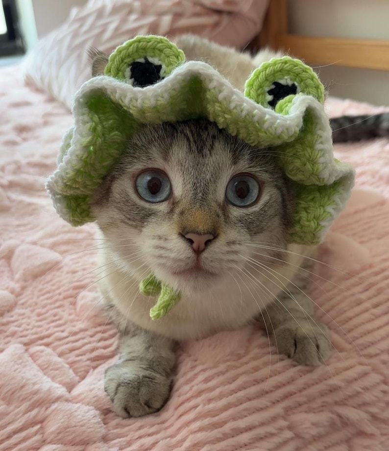 May include: A cat with pale fur and blue eyes wearing a handmade green and white crochet frog hat. The hat has large, round eyes and a green tie. The cat is lying on a pink, textured surface, possibly a blanket or bedspread.