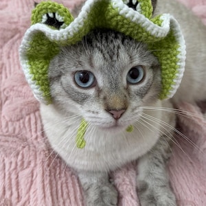 May include: A grey and white cat with blue eyes wearing a handmade green and white crochet frog hat. The cat is lying on a pink, textured surface. The hat has a frog design with eyes and a wide brim.