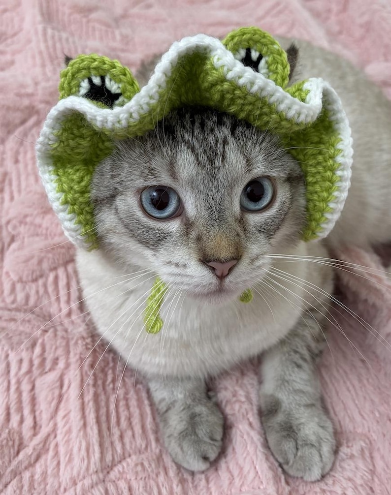 May include: A grey and white cat with blue eyes wearing a handmade green and white crochet frog hat. The cat is lying on a pink, textured surface. The hat has a frog design with eyes and a wide brim.