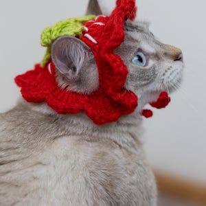May include: A gray cat with blue eyes wearing a handmade red and green crocheted headpiece. The headpiece has a scalloped edge and white accents. The cat is looking up and to the right.