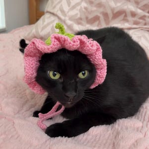 May include: A black cat wearing a pink crocheted flower hat with green accents and pink ties. The cat is lying on a pink, textured blanket. The hat resembles a flower.